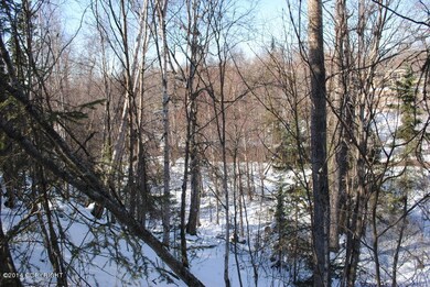 View of Rabbit Creek from bluff on lot