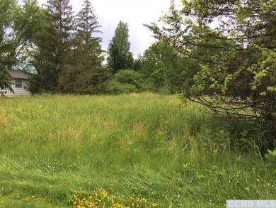 0 Constantine Ct unit 136708, Athens, NY 12015 - photo 5