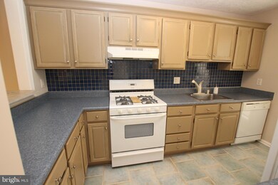 10050 Oakton Terrace Rd unit 10050, Oakton, VA 22124 - photo 5