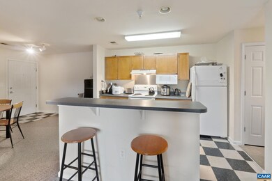120 Yellowstone Dr unit 202, Charlottesville, VA 22903 - photo 7