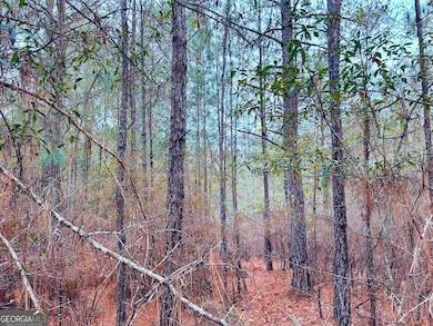 0 Jw Miller Rd unit 10655806, Reynolds, GA 31076 - photo 3