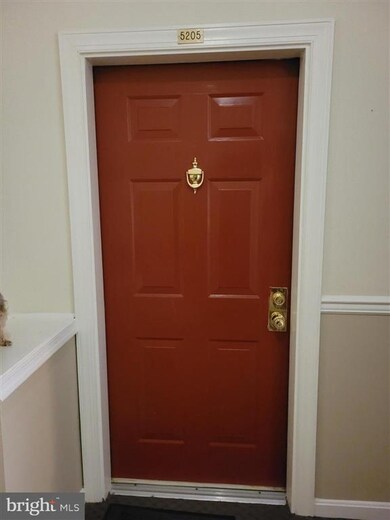 5205 Wagon Shed Cir, Owings Mills, MD 21117 - photo 6