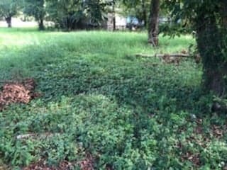 7019 Sidney St, Houston, TX 77021 - photo 3