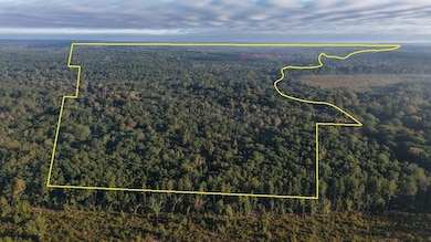 0 Lloyd Mill Rd unit LotWP001, Andalusia, AL 36421 - photo 3