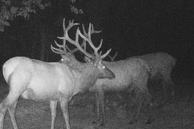 TBD Rocking H Ranch, Hulett, WY 82720 - photo 3