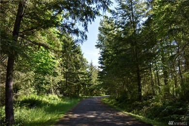 18224 248th Ave E, Orting, WA 98360 - photo 2