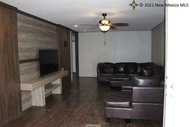 4206 Willow St, Carlsbad, NM 88220 - photo 7