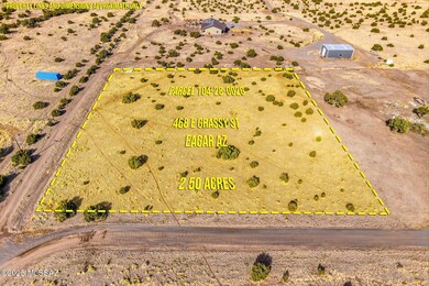 486 E Grassy St, Eagar, AZ 85925 - photo 4