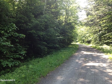 0 Trail Cir, Becket, MA 01223 - photo 4