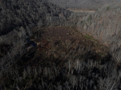 000 Erline Rd, Oneida, KY 40972 - photo 4