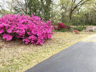 40 Old Courthouse Rd, Natchez, MS 39120 - photo 2