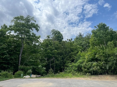 7 Beechwoods at Intervale Rd, Bartlett, NH 03845 - photo 4