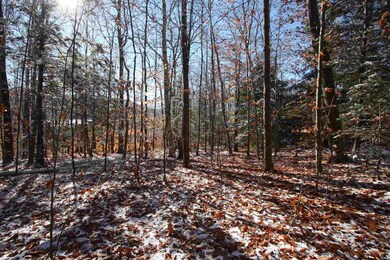 15 Deep Woods Cir unit Lot 15, Winhall, VT 05255 - photo 4