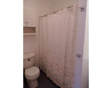 5 Swallow St unit 3, Boston, MA 02127 - photo 5