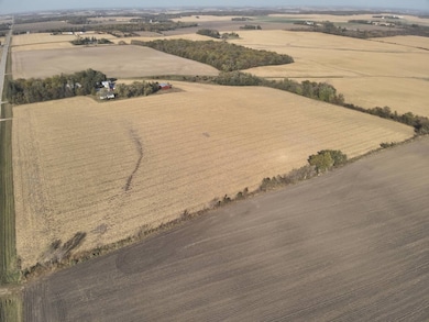 TBD County Road 15, Kasson, MN 55944 - photo 6