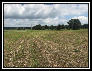 10364 Rankin Rd, Glenford, OH 43739 - photo 5