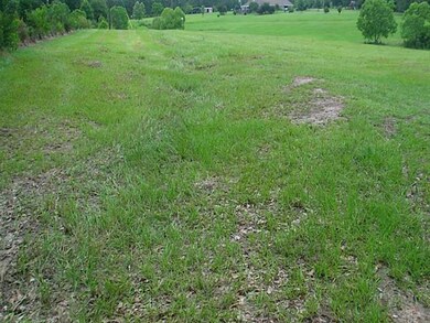 Photo. From driveway to E. Daniels neighbor
