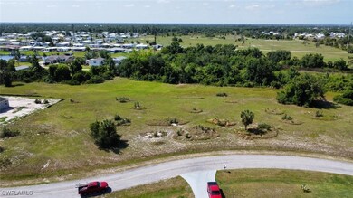 29031 Tortoise Trail, Punta Gorda, FL 33982 - photo 7