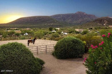 Spur Cross Equestrian View