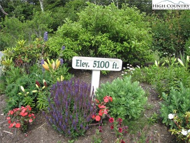 Exceptionally high elevation means cool, bugless s