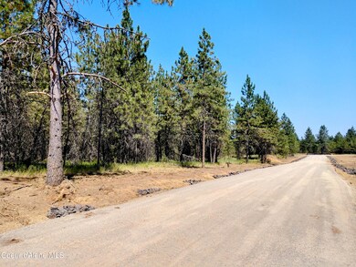 L4B1 N Sheep Springs Rd, Athol, ID 83801 - photo 4