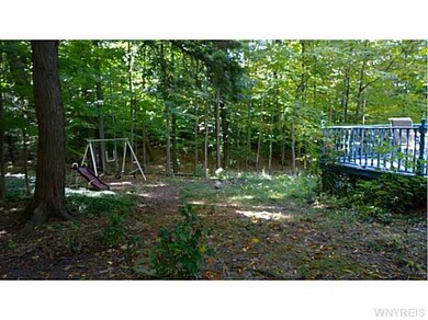 Backyard Nice Natural Space