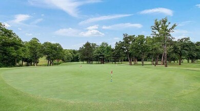 199 Stonewolf Ct, Gordonville, TX 76245 - photo 4