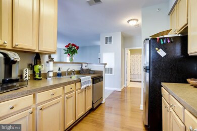 22641 Blue Elder Terrace unit 301, Ashburn, VA 20148 - photo 6