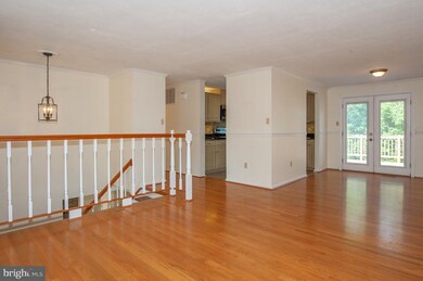 4408 Vantage Ct, Alexandria, VA 22306 - photo 4