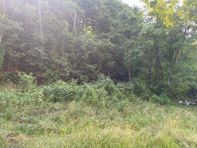 176 Dalewood Rd, Johnson City, TN 37601 - photo 4