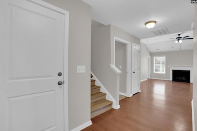 734 Deertrack Run, Lexington, SC 29073 - photo 5