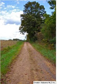 Posey Lane.  Property is on the right.