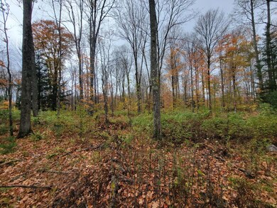 ON Cth A unit Lot 1, Deerbrook, WI 54424 - photo 4