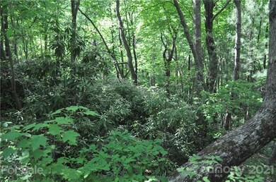 701 Chestnut Trail unit Lot 8, Hendersonville, NC 28792 - photo 5