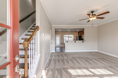 252 Mary Ann Cir, Spring Hill, TN 37174 - photo 5