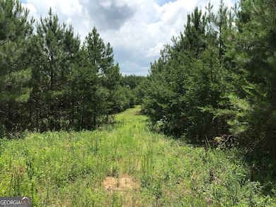 0 Moores Gin Rd unit 9693 10325272, Fairmount, GA 30139 - photo 7