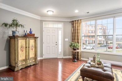 43029 Clarks Mill Terrace, Ashburn, VA 20148 - photo 4