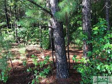 104 Harmony Dr, Springfield, GA 31329 - photo 6