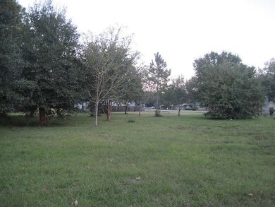 73 Fulton Dr, Alvin, TX 77511 - photo 5