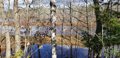 38 Remington Rd unit Lot 12, Thornton, NH 03285 - photo 7