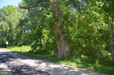 445 Collins Rd, Edgewater, MD 21037 - photo 4