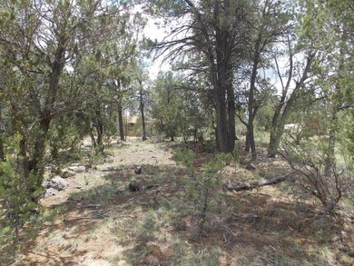 3159 trails end dehorty 007