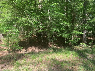 TBD N Lakewood Dr, Splendora, TX 77372 - photo 4