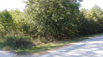 TBD Alexandria Dr, Conroe, TX 77302 - photo 3