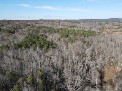 County Rd 208, Heflin, AL 36264 - photo 4