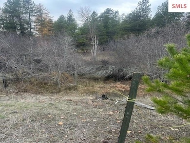 NNA (8550) Eastside Rd, Priest River, ID 83856 - photo 6