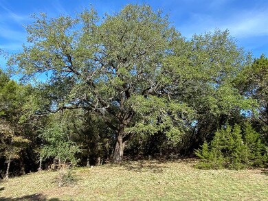 1055 White Bluff Dr, Whitney, TX 76692 - photo 5