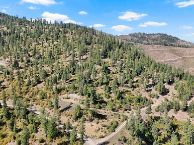 4139 N Deer Lake Rd unit LOT 5, Loon Lake, WA 99148 - photo 6