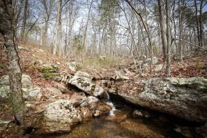 13.14 Acres, Stone County 1