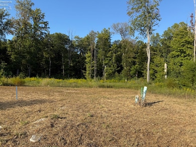 0 Merlin Ln unit 20253639, Clyde, OH 43410 - photo 3